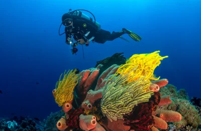 Crociera Filippine Mere Subacque