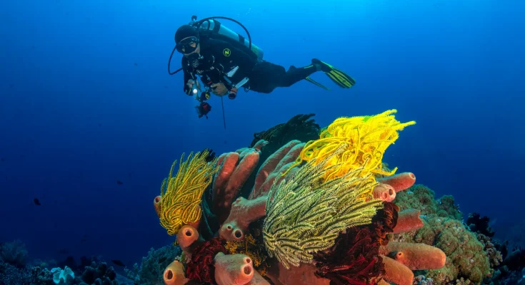 Crociera Filippine Mere Subacque