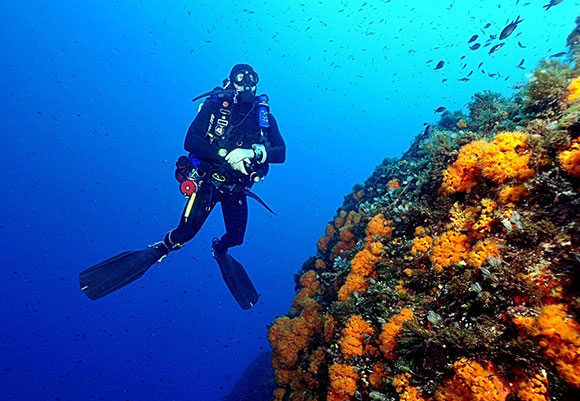 Scorci sommersi della Costa Viola (
