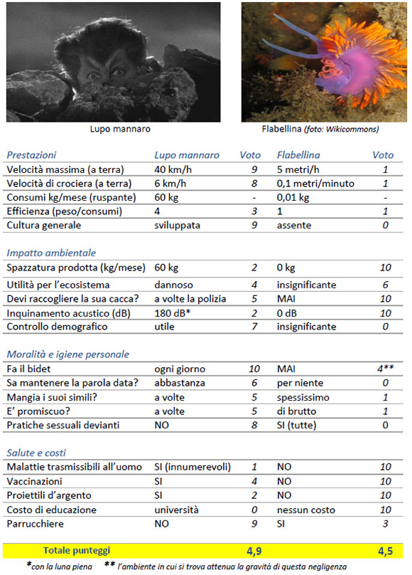 flabellina vs lupo mannaro