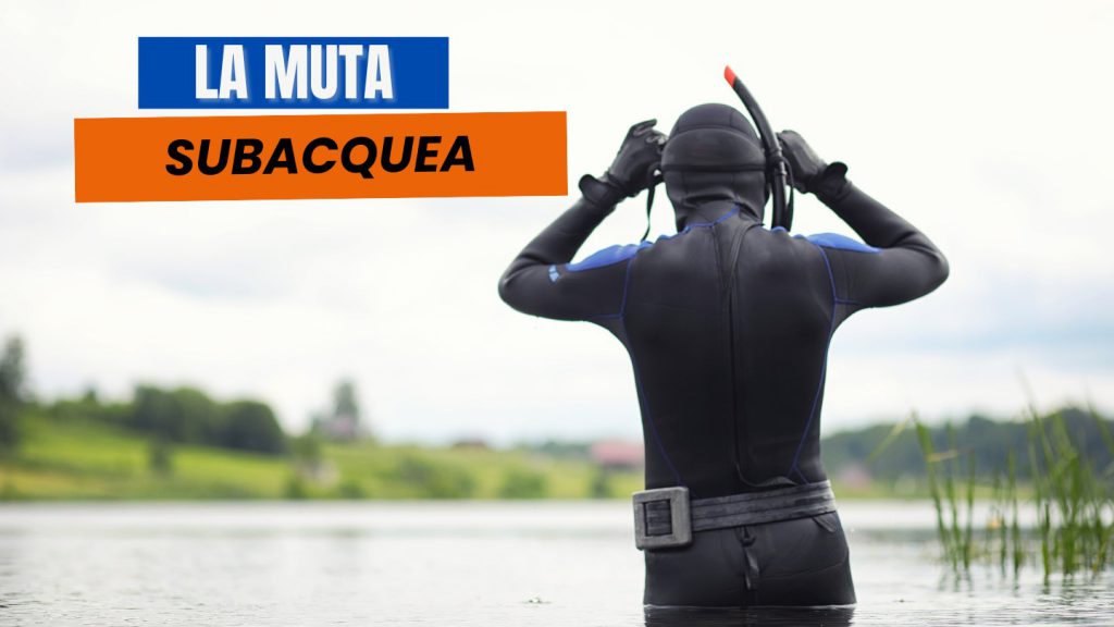 Subacqueo con muta semi stagna e attrezzatura sub