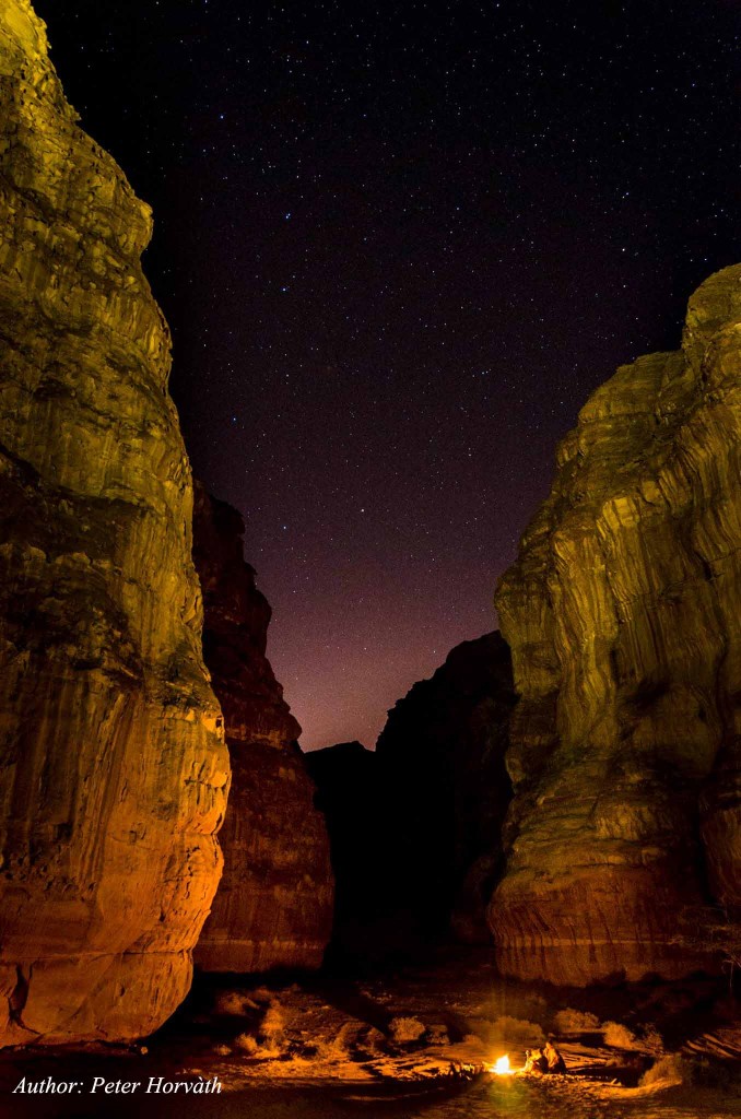 13217281_1140188162687612_5570541410583289840_o