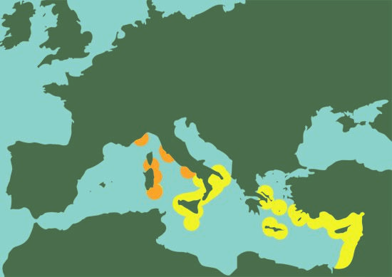 aplysia mappa distribuzione