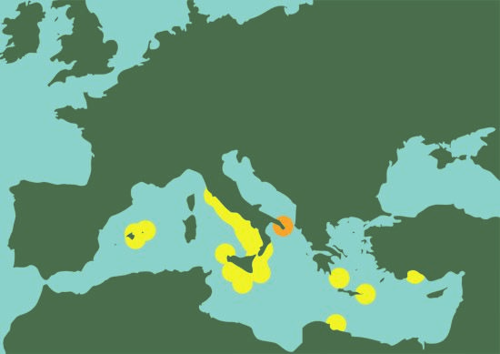 percnon granchio clandestino mediterraneo distribuzione
