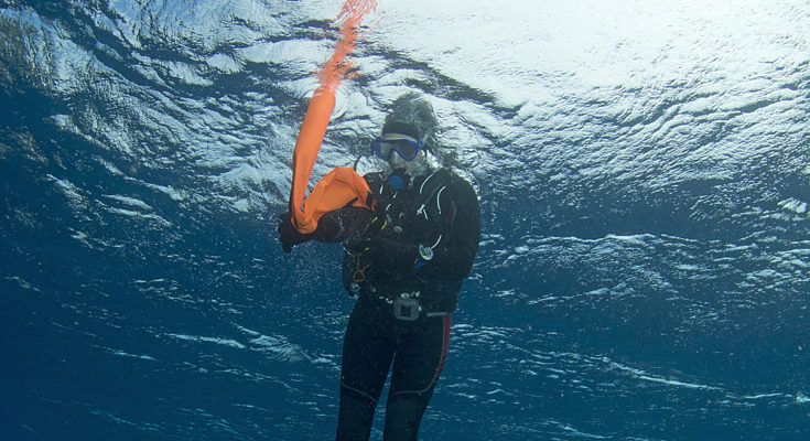 pedagno sicurezza segnalazione