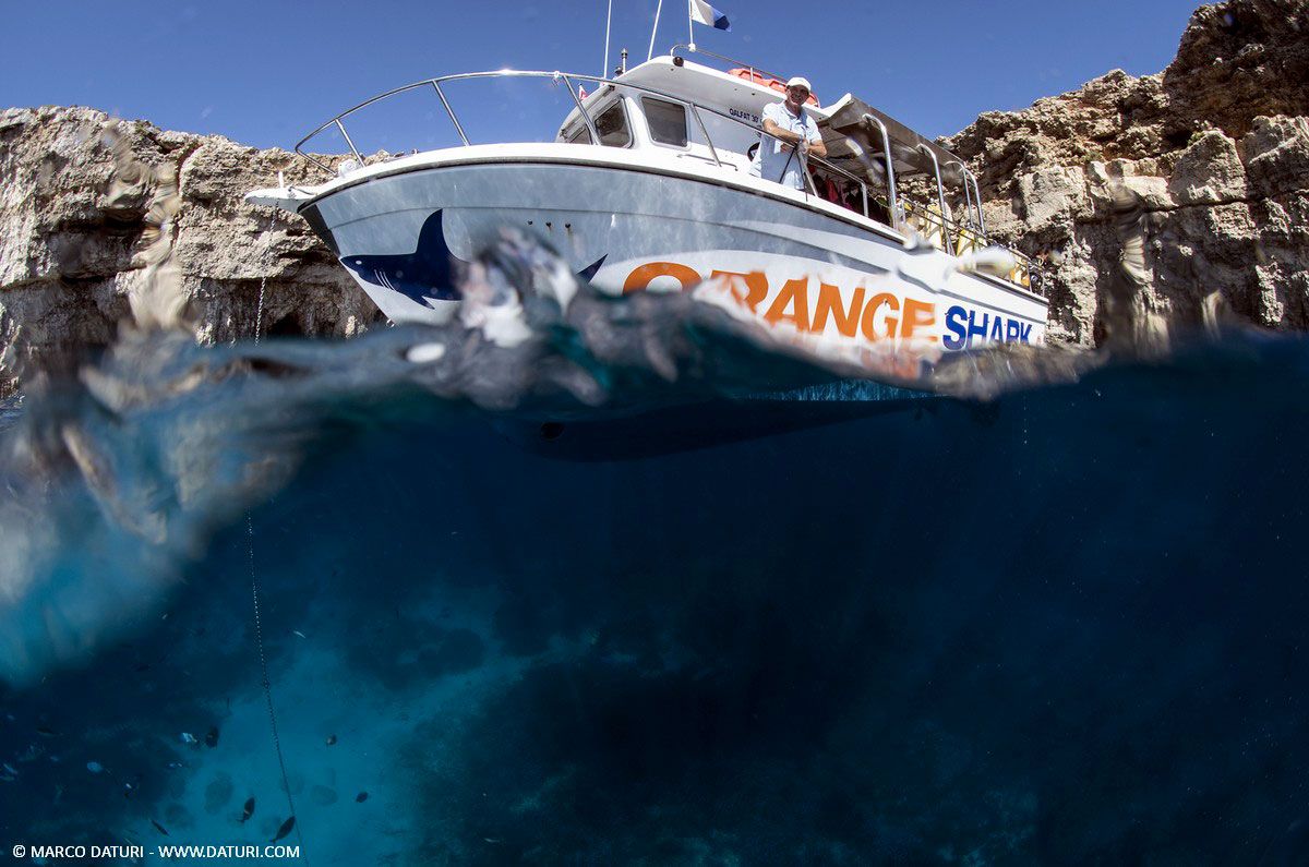 Orange Shark diving center italiano a Malta