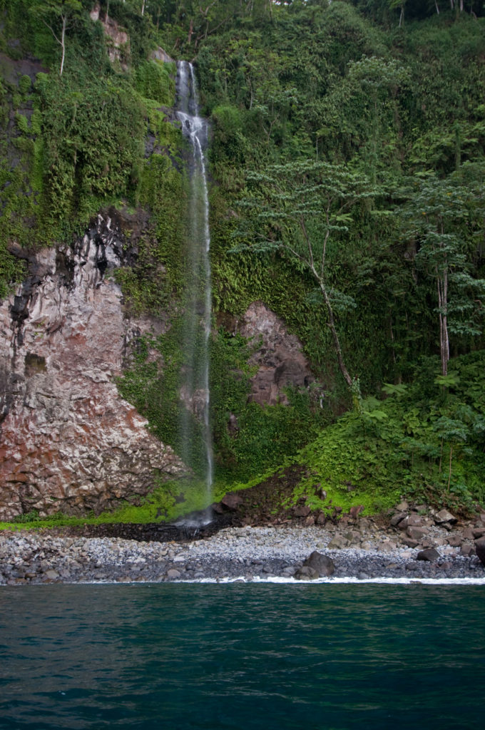 conservazione del reef
