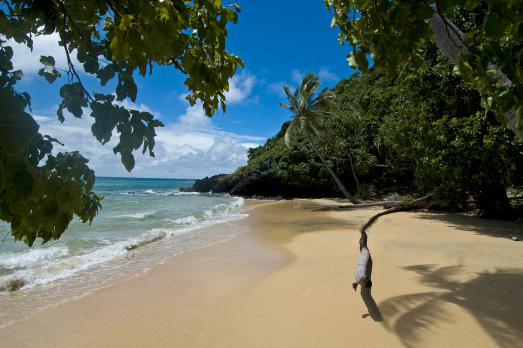 conservazione del reef