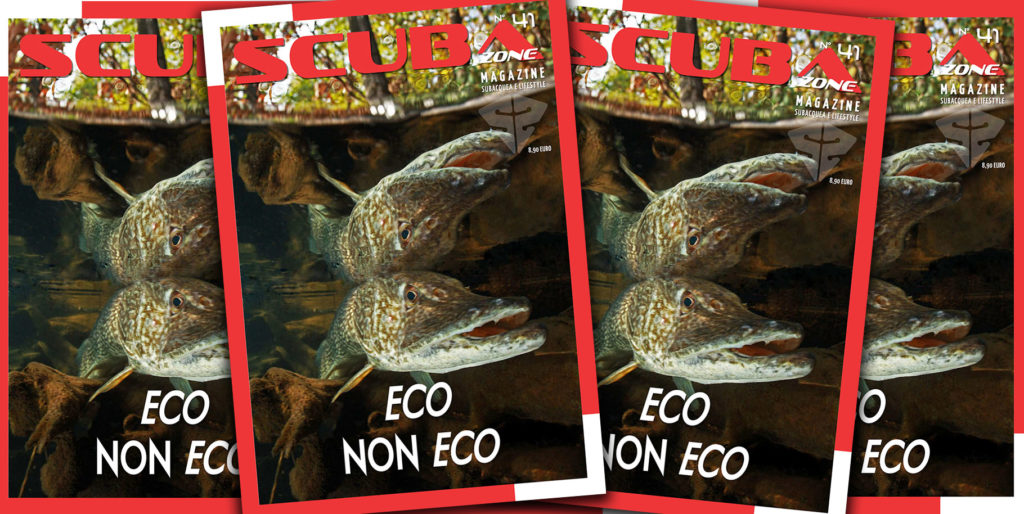 scubazone n. 41
