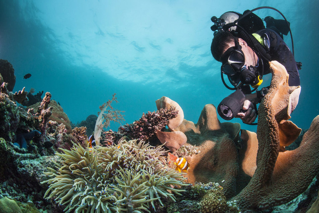 trasportare in aereo