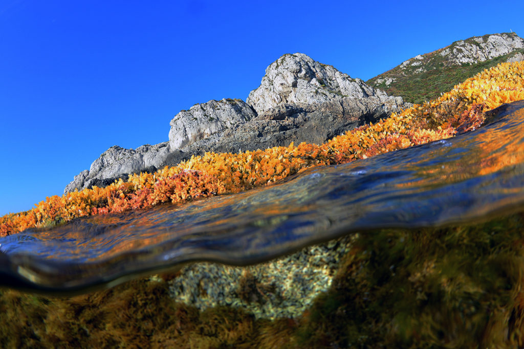 area marina protetta capo milazzo italia