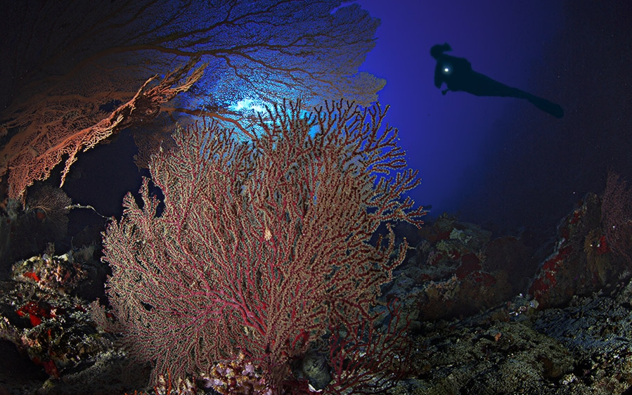 open water a Sharm El-Sheikh