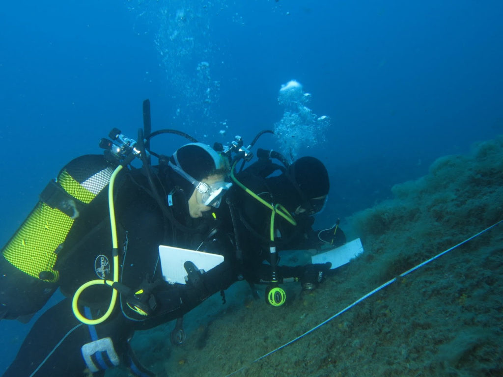 progetti di citizen science