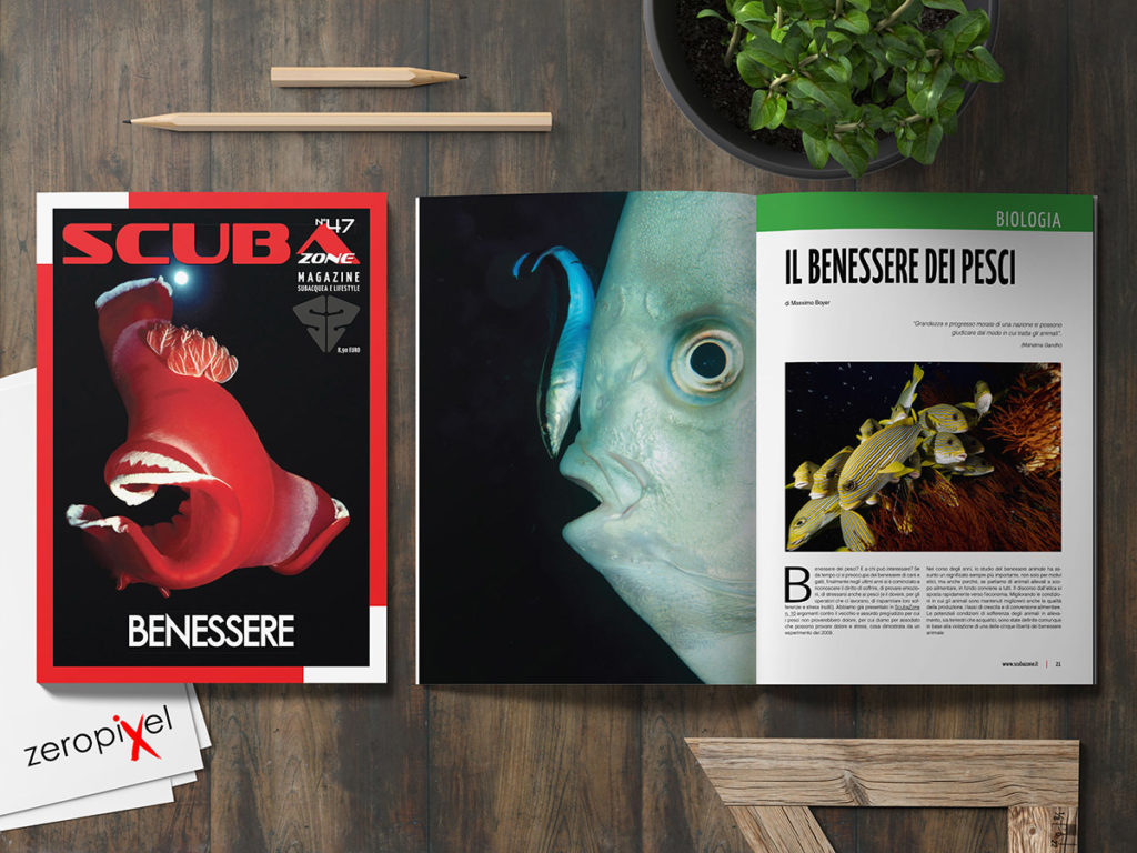 scubazone n. 47