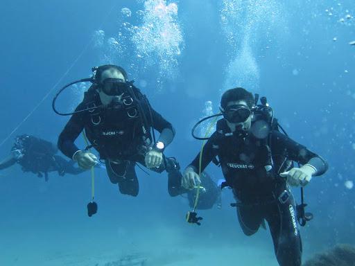 Diving Trips Palermo Diving Trips Palermo