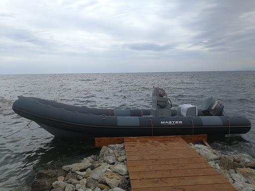 Blue Shark Diving Club