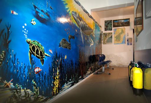 Diving Center Megale Hellas Diving Center Megale Hellas