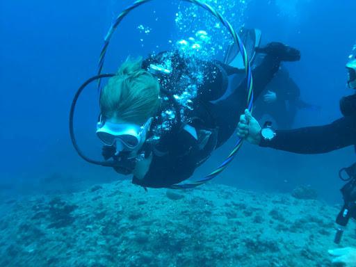 BLUE SEA DIVING CENTER BLUE SEA DIVING CENTER