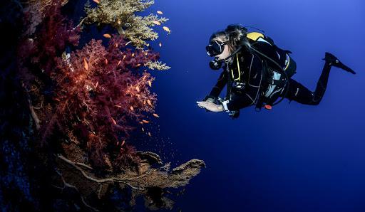 ASD Jonica Diving School ASD Jonica Diving School