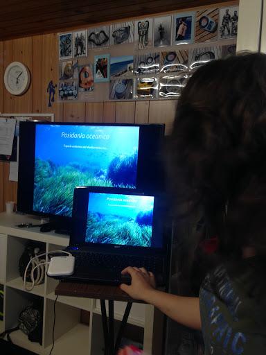 Centro Immersioni Acitrezza