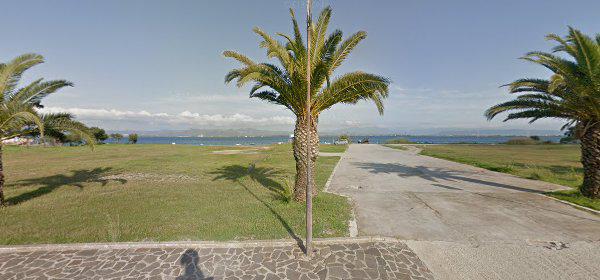 Diving Coral Reef Diving Coral Reef