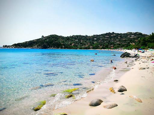 Scuola Sub MM Scuola Sub MM