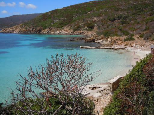 Escursioni Alghero Asinara Escursioni Alghero Asinara