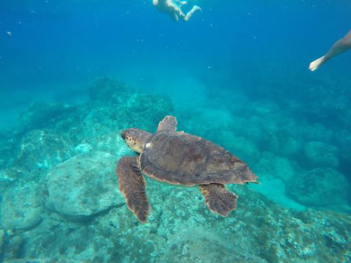 Sea Project Castelsardo Sea Project Castelsardo