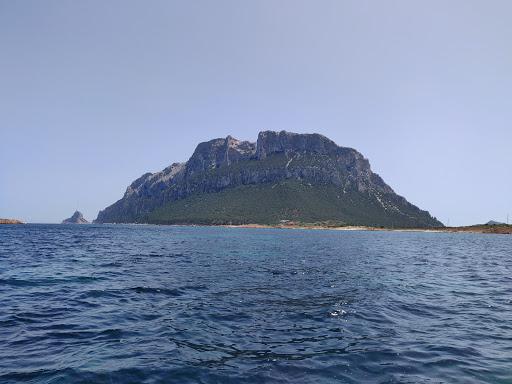 Diving Snorkeling Team