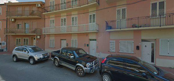 divingastrea divingastrea