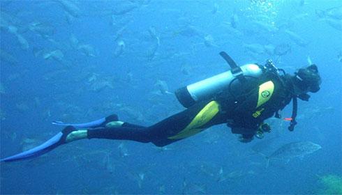 Centro Sub Scalea Centro Sub Scalea