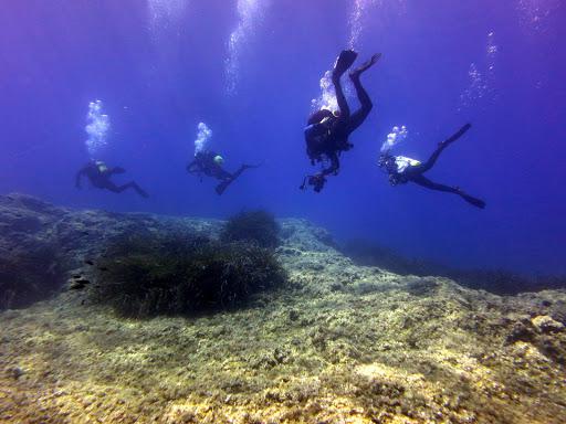 Damnam Dive Center Damnam Dive Center