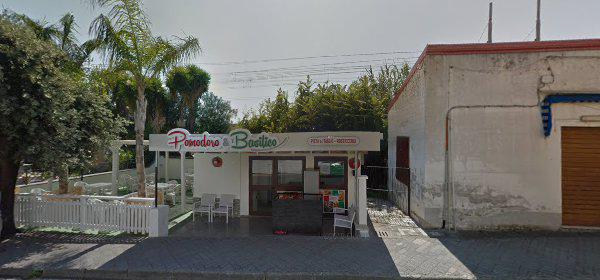 Sub Aqua Diving Club Sub Aqua Diving Club