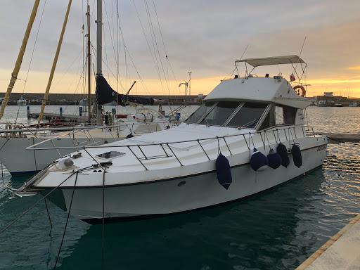 Gorgonia Tour Diving Gorgonia Tour Diving