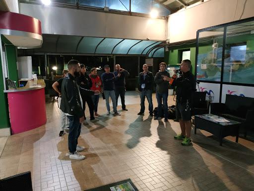 Gruppo Solaris Gruppo Solaris