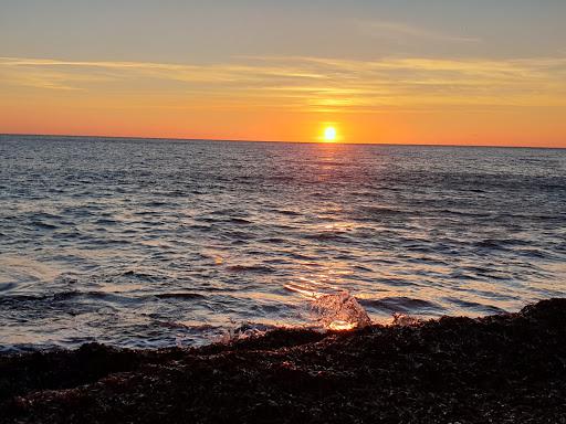 Fosso marangone Fosso marangone