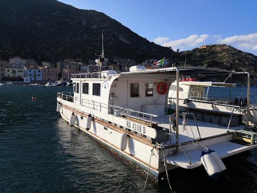 Diving Isola del Giglio Diving Isola del Giglio