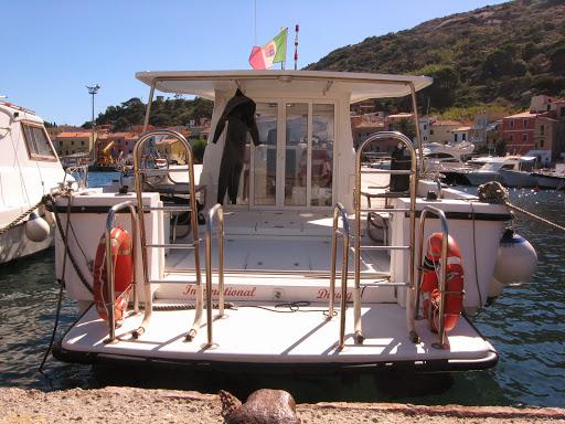 International Diving