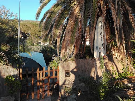 Giglio Diving Club Giglio Diving Club