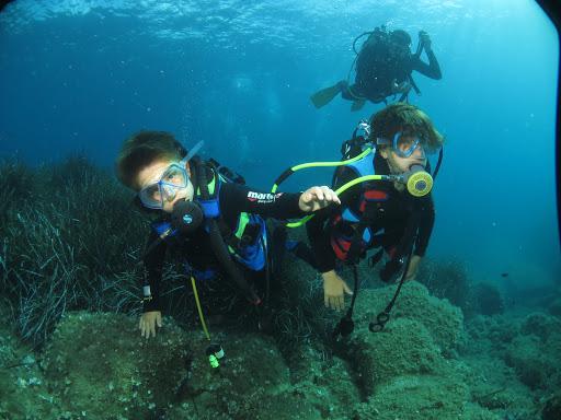 Diving in Elba