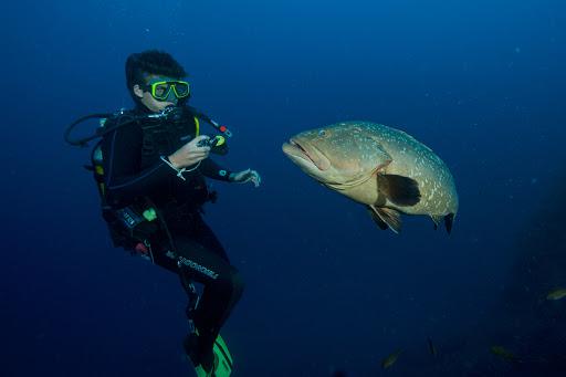 SPIRO SUB DIVING ELBA - Volki Kammerer SPIRO SUB DIVING ELBA - Volki Kammerer