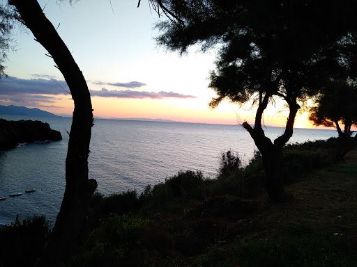 Hank's Diving Center Hank's Diving Center