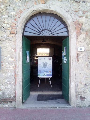 Blue Maori Blue Maori