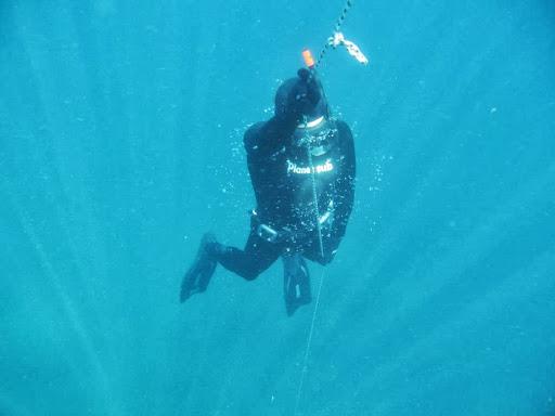 Sea Life Toscana a.s.d. Sea Life Toscana a.s.d.