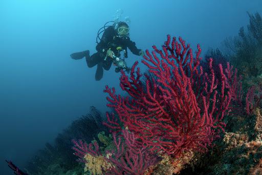 Diving Center Accademia Blu A.S.D. Diving Center Accademia Blu A.S.D.