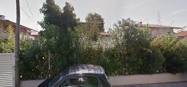 Associazione Subacquei Versilia Associazione Subacquei Versilia