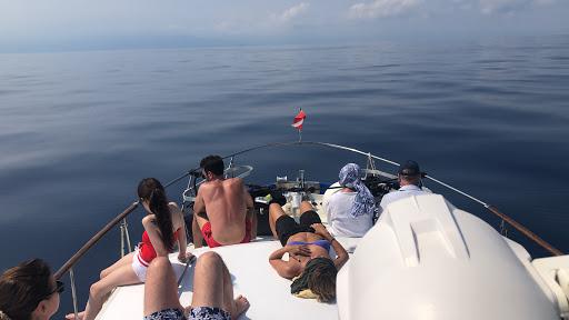 MolaMola Dive Team - Whale Watching Isola Gallinara Tour MolaMola Dive Team - Whale Watching Isola Gallinara Tour