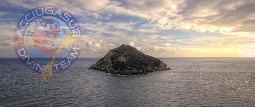 AcciugaSub Diving AcciugaSub Diving