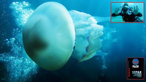 ASD Diving Academy ASD Diving Academy