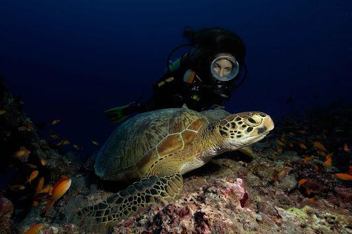 Salto nel Blu Centro Subacqueo PADI 5*Stars IDC